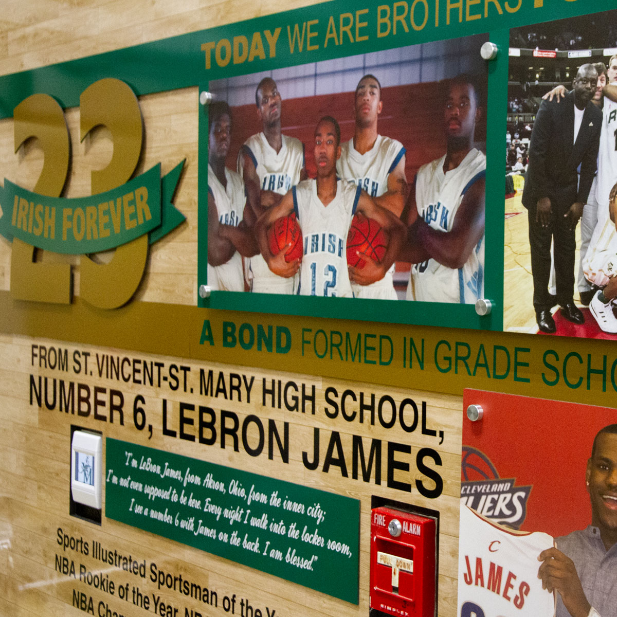 The Chosen One St. Vincent-st. Mary High LeBron James Sports